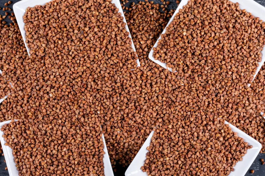 Aliments pour Poissons