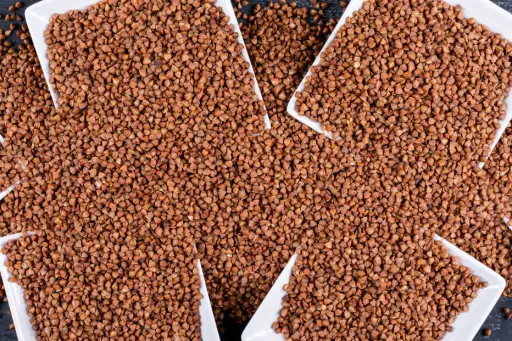 Aliments pour Poissons